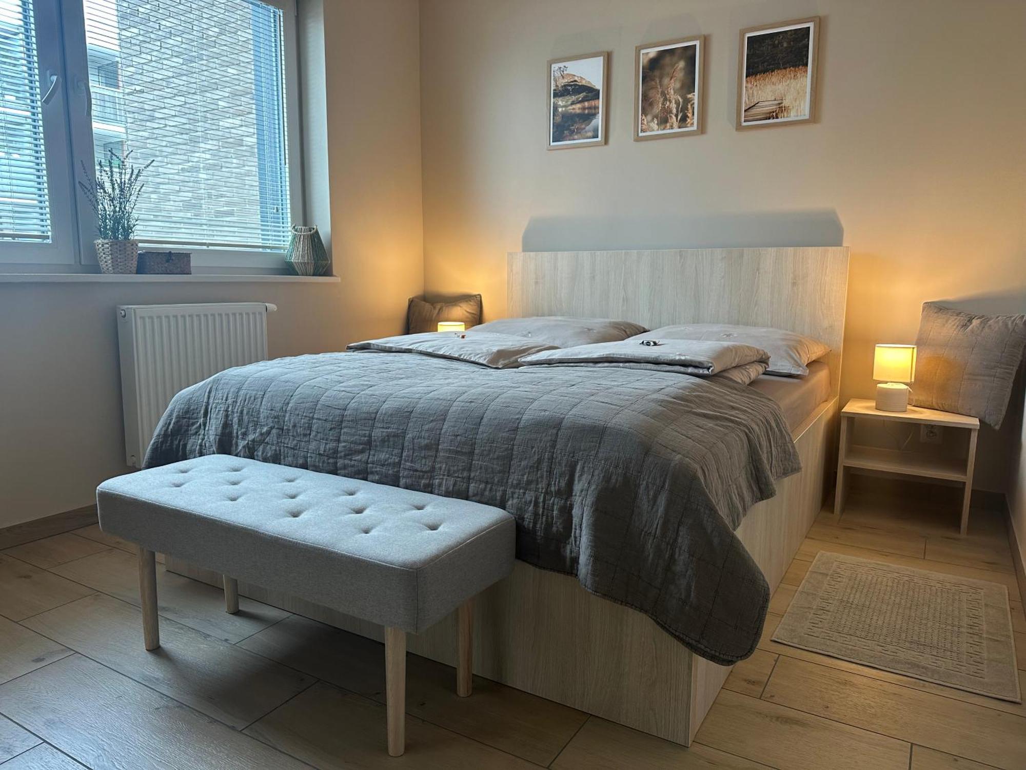 Apartment Jezyk-luxury Free Parking